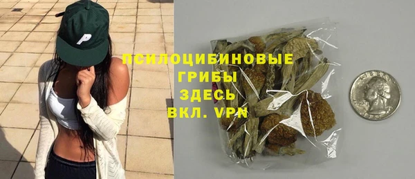 стафф Богородицк
