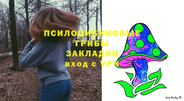 стафф Богородицк