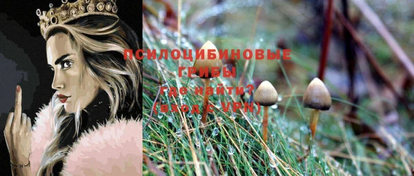мдма Богородск