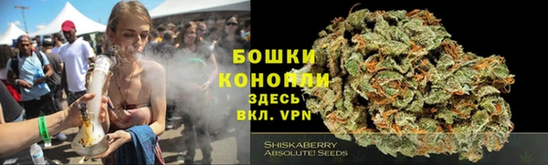 стафф Богородицк