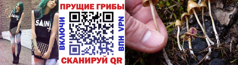 Галлюциногенные грибы мицелий  Кологрив 